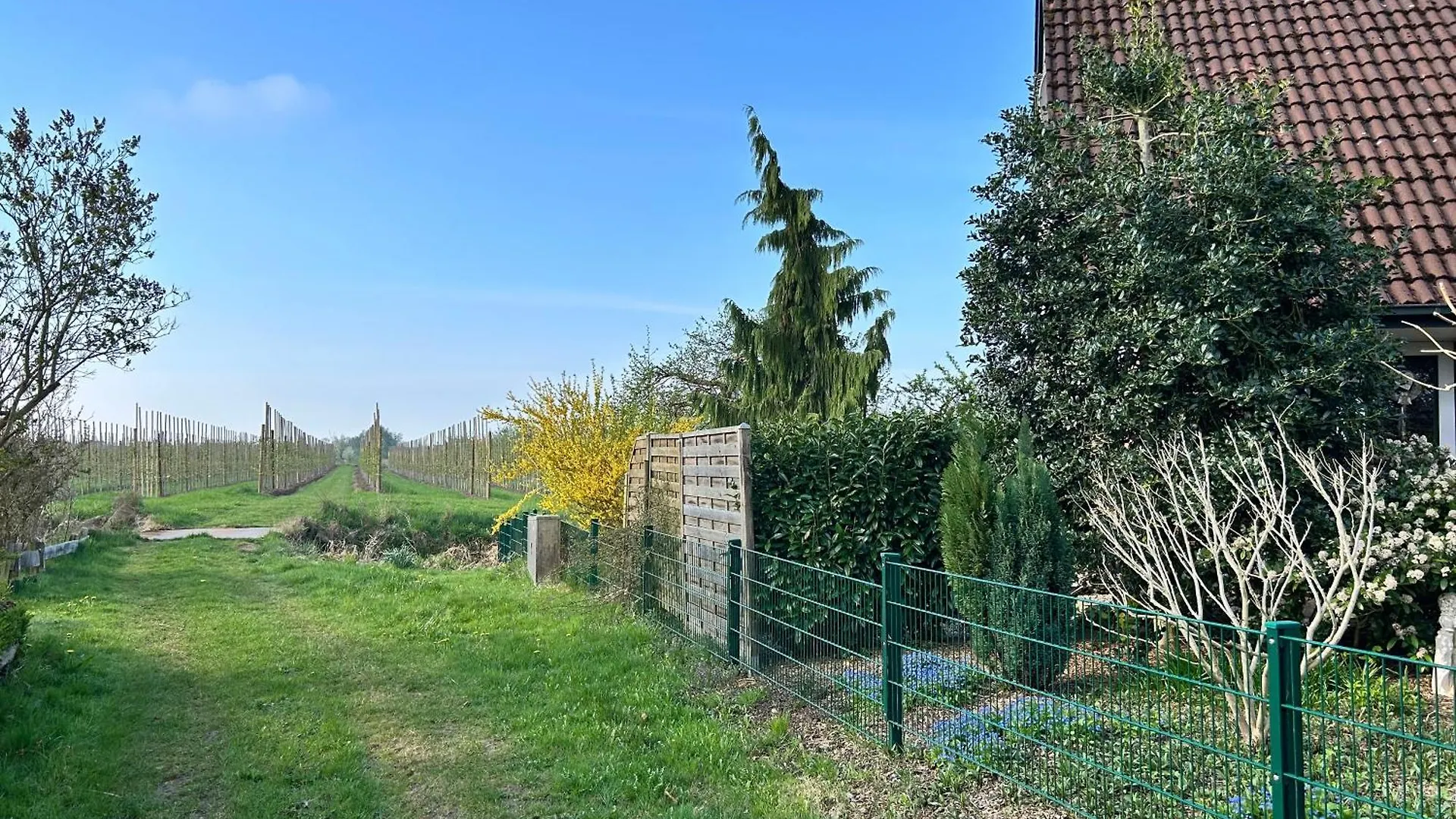 Ferienwohnung Altes Land - Apfelbluete Jork Germany